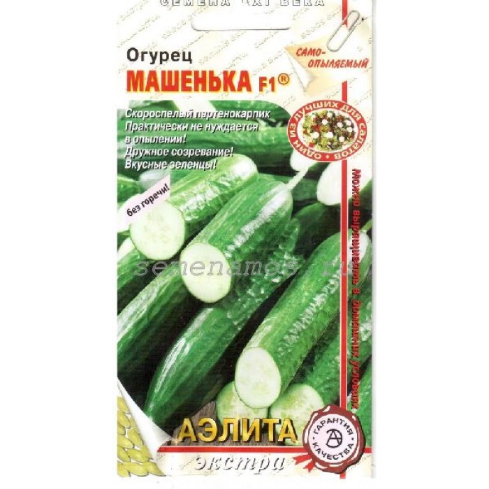 Огурец машенька описание сорта фото